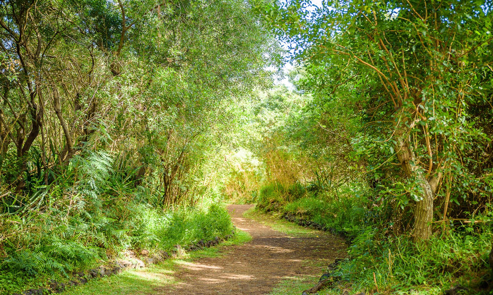 Parcours de santé-page